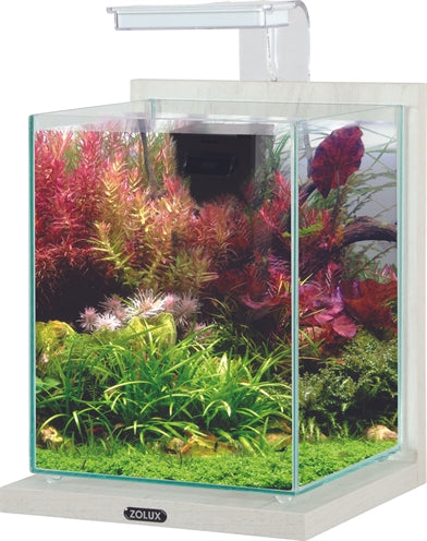 Zolux Aquarium Kit Jalaya 2 Weiss Kalk 10 LTR 20X20X25 CM