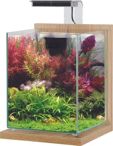 Zolux Aquarium Kit Jalaya 2 Licht Eiche 10 LTR 20X20X25 CM