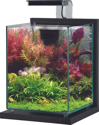 Zolux Aquarium Kit Jalaya 2 Anthrazit 10 LTR 20X20X25 CM