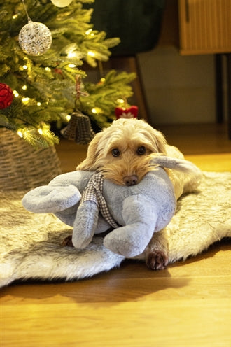 Rosewood Cupid & Comet Maxi Elton Elefant 32X30X21 CM