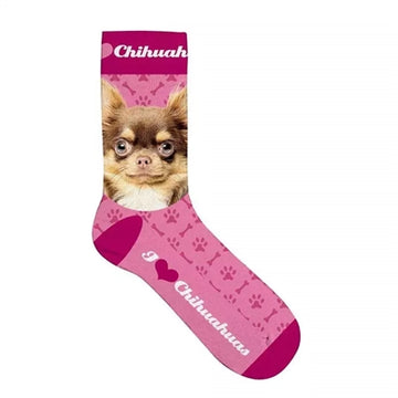 Plenty Gifts Socken Chihuahua Rosa