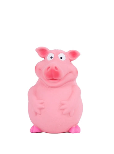 Fofos Latex 16X9X9 CM