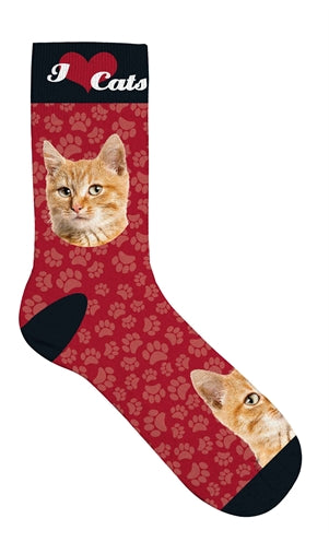 Plenty Gifts Socken Orange Katzen Rot