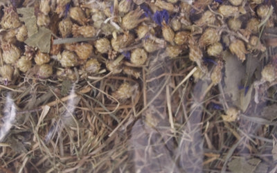 Excellent Kornblume Und Birkenblatt 500 GR