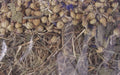 Excellent Kornblume Und Birkenblatt 500 GR