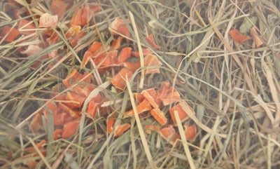 Excellent, Heuwurzel Und Echinacea 500 GR