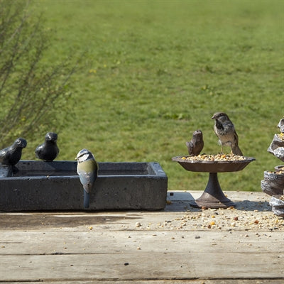 Best For Birds Terrazzo Granito Grau 31,5X31,5X12,5 CM