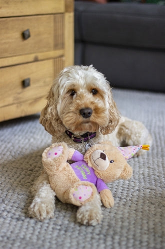 Rosewood Chubleez Bonnie Geburtstag Bär 26X20X12 CM