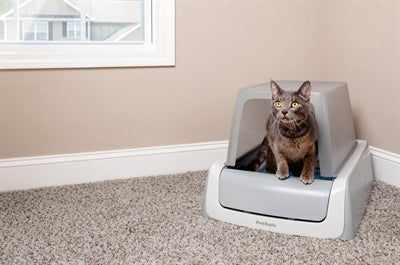 Scoopfree Selbstreinigendes Katzenklo Mit Haube