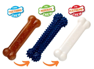 Nylabone Welpe Kauen Welpen-Starter-Kit Huhn TO 11 KG