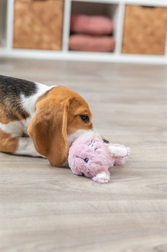 Trixie Plüsch Hase Mit Tpr Ring Für Welpe 27 CM