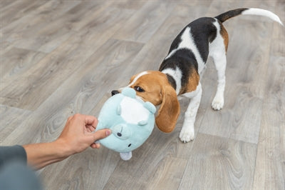 Trixie Plüschbär Mintgrün Für Welpe 14 CM