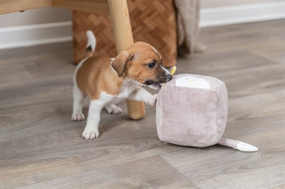 Trixie Plüsch Würfel Fuchs 13 CM