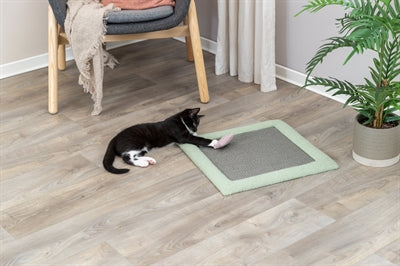 Trixie Kätzchen Kratzmatte Mintgrün 47X47 CM