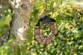 Trixie Rund Mit Dach Schwarz 24X8X8 CM