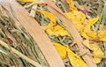 Trixie Mit Blüten 16X16X16 CM 500 GR