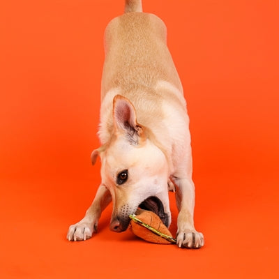 Outward Hound Xtreme Seamz Lion 17X11X5 CM