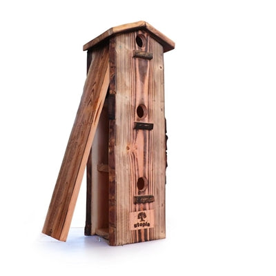 Utopia Sperling Wohnung Verbrannt Douglas Holz 17X25X62 CM