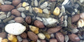 Utopia Jay Mix 1,5 KG