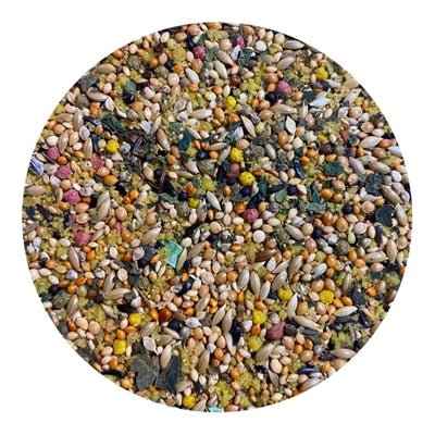 Utopia Tropische Vögel Spitzenqualität 1 KG