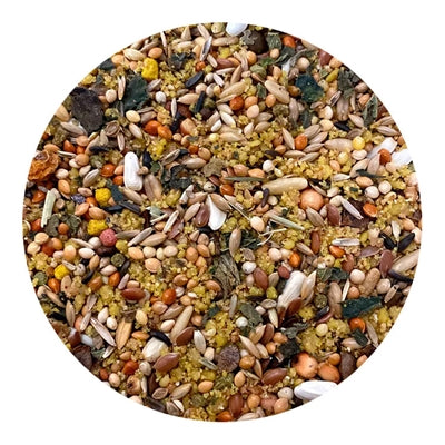 Utopia Grosssittiche Afrikanische Spitzenqualität 1 KG