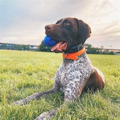 Chuckit Super Crunch Ball Blau 6 CM