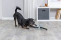 Trixie Hundespielzeug Dreieck Mit Seil Ringe Citystyle Tpr 44 CM