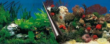 Ebi Foto Rückwand Stein+Koralle 60X30 CM