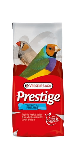 Versele-Laga Angesehener Tropischer Vogel