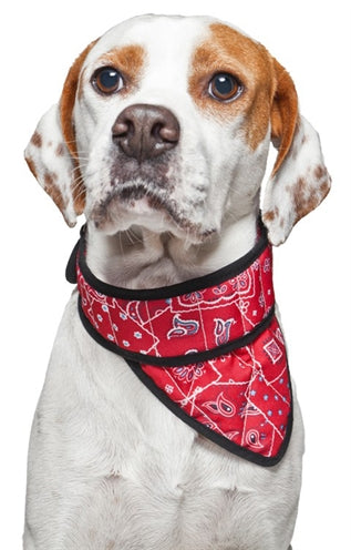 Aqua Coolkeeper Bandana Aqua Coolkeeper Rot Westlich