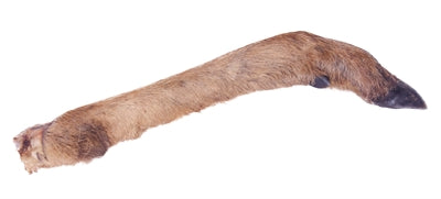 Petsnack Hirschkeule Mit Haar 7 ST
