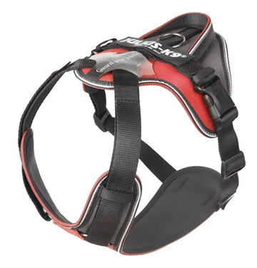 Julius K9 Idc Hundegeschirr Hundegeschirr Lungengang Rot / Grau