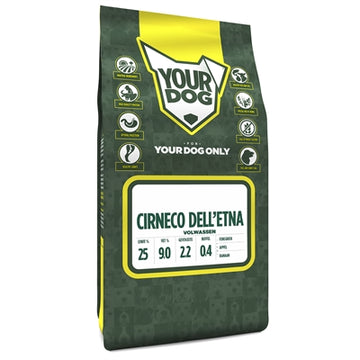 Yourdog Cirneco Dell'etna Erwachsen
