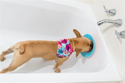 Lickimat Türkis 19 CM