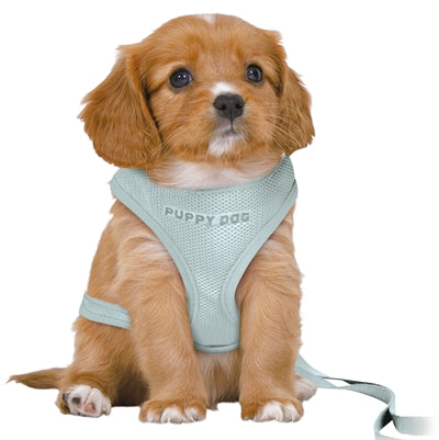 Trixie Hundegeschirr Junior Welpe Softgeschirr Mit Leine Mintgrün 36-50X1 CM / 2 MTR