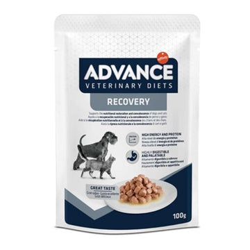 Advance Veterinary Diet Hund/Katze Recovery 11X100 GR
