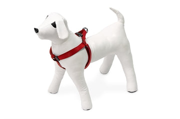 Karlie Gurtzeug Sportlich Plus Step&amp;Go Rot