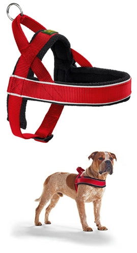 Hunter Gurtzeug Norweger Racing Nylon Rot/Schwarz